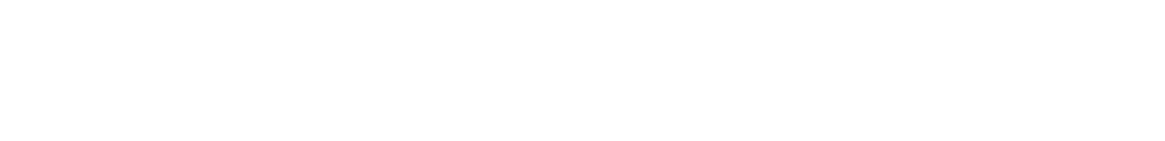 GARMINCO